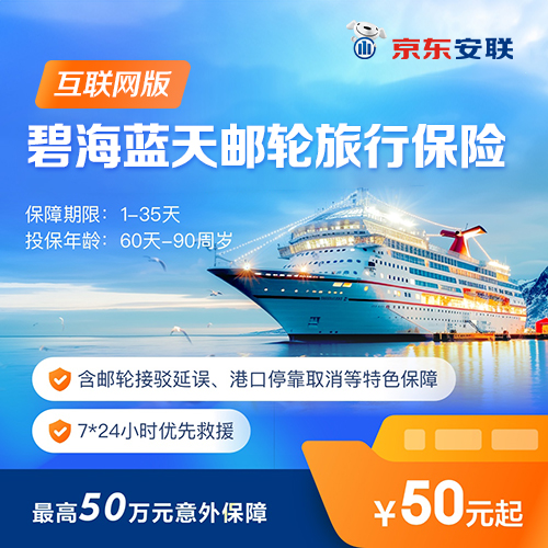 开心保保险