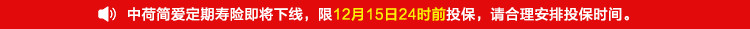 中荷简爱定期寿险.jpg