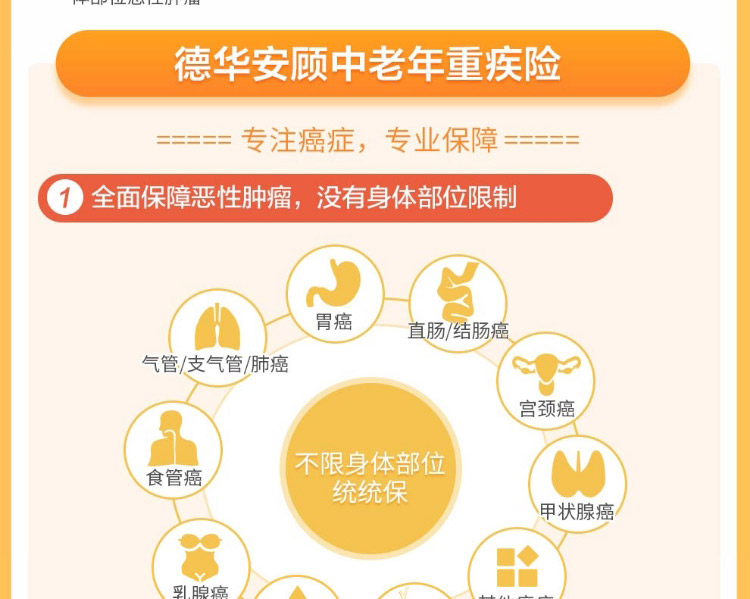 德华安顾孝亲宝老年恶性肿瘤疾病保险（2020版）-10年交-开心保保险网_04.jpg
