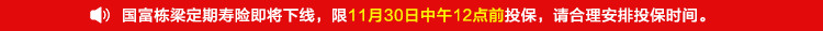国富栋梁定期寿险.jpg