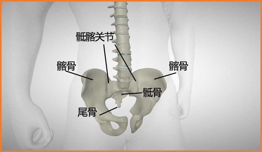 攝圖網(wǎng)_402160734_banner_強(qiáng)直性性脊柱炎（企業(yè)商用）