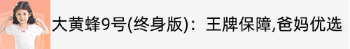 大黄蜂9号（终身版）