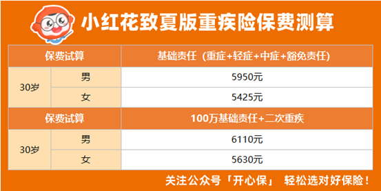 小红花致夏版保费