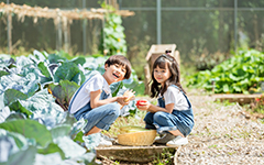 小顽童5号少儿意外险保障怎么样？多少钱一年？