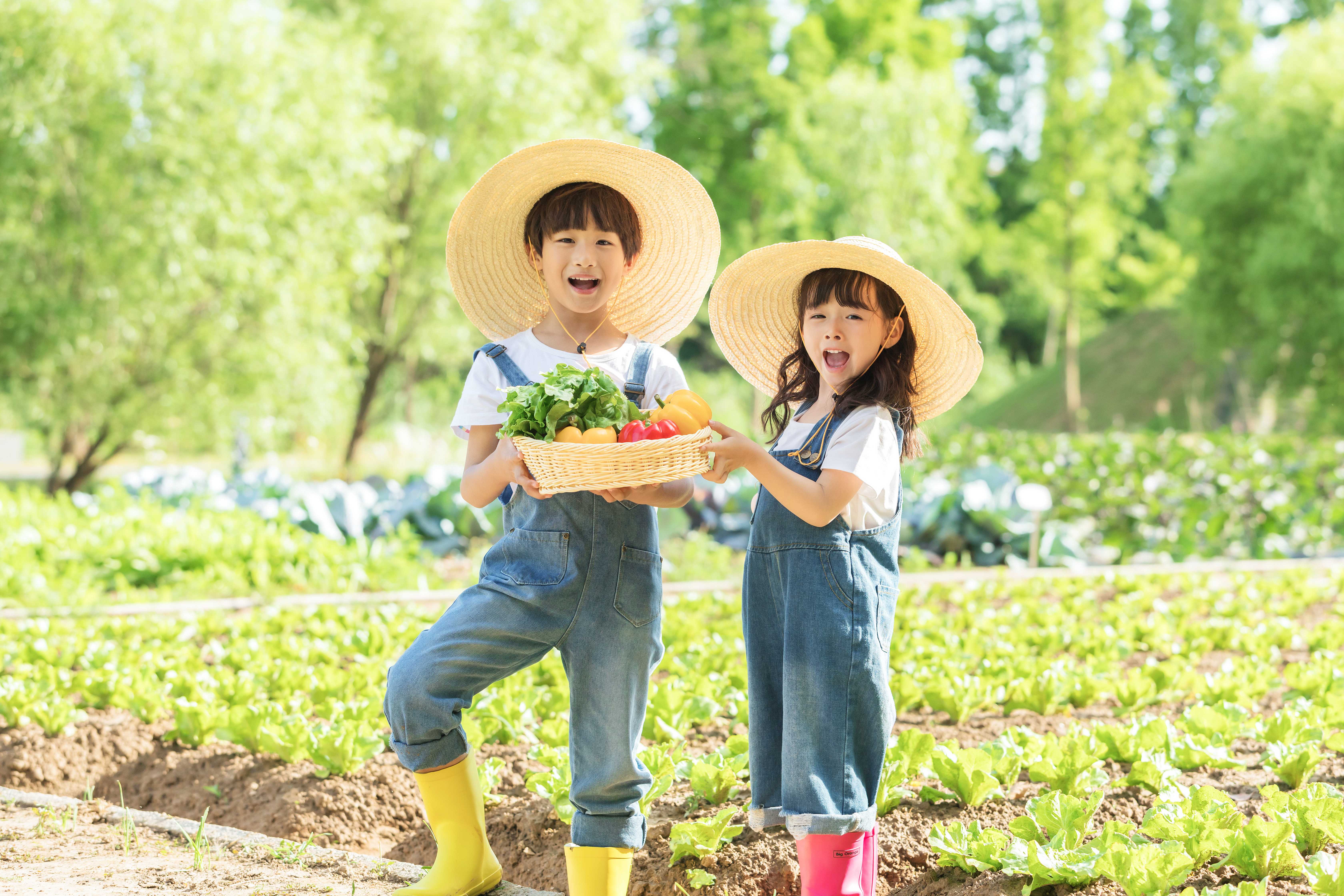 大黄蜂9号少儿重疾险多少钱？在哪投保？