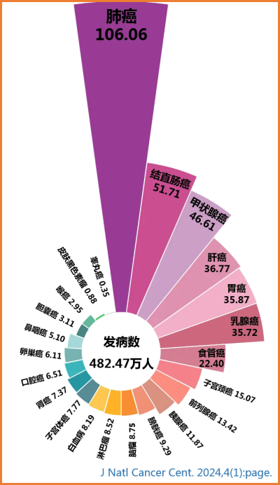 微信圖片_20240831152635_副本