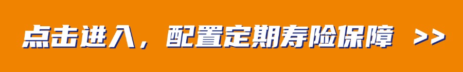 定期寿险2